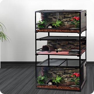 Pet Feeding Box 2
