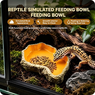 Pet Feeding Box 3