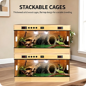 Pet Feeding Box 4